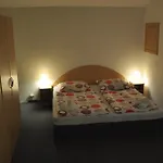 U Vlka Guest house Ceske Budejovice