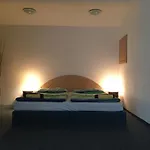U Vlka Guest house