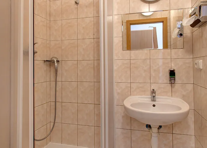 U Vlka 3* تشيسكي بوديوفيتسه