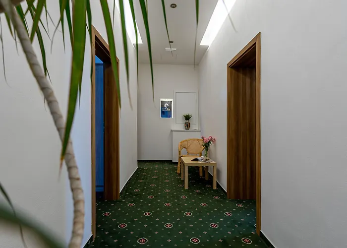 U Vlka 3* 체스케부데요비체